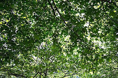 TGS 2022到场13.8万人 相比往年明显减半